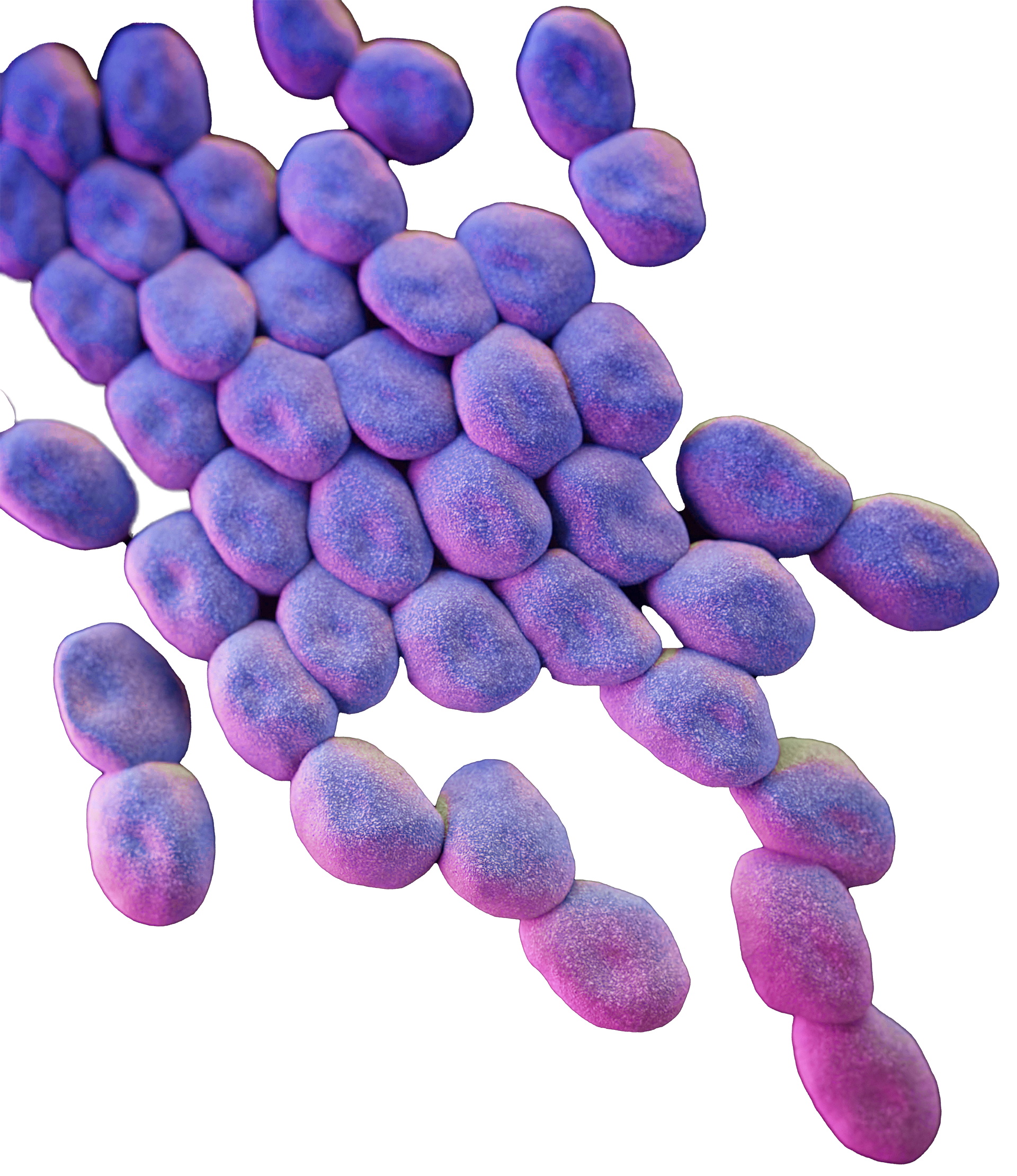 Decorative background element